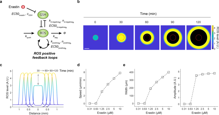 Extended Data Fig. 10