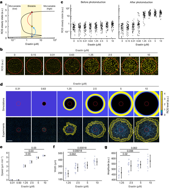 Fig. 4