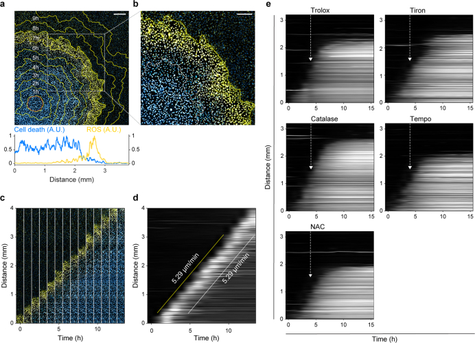 Extended Data Fig. 4