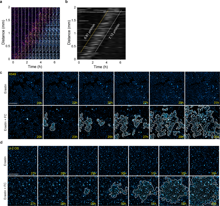 Extended Data Fig. 6