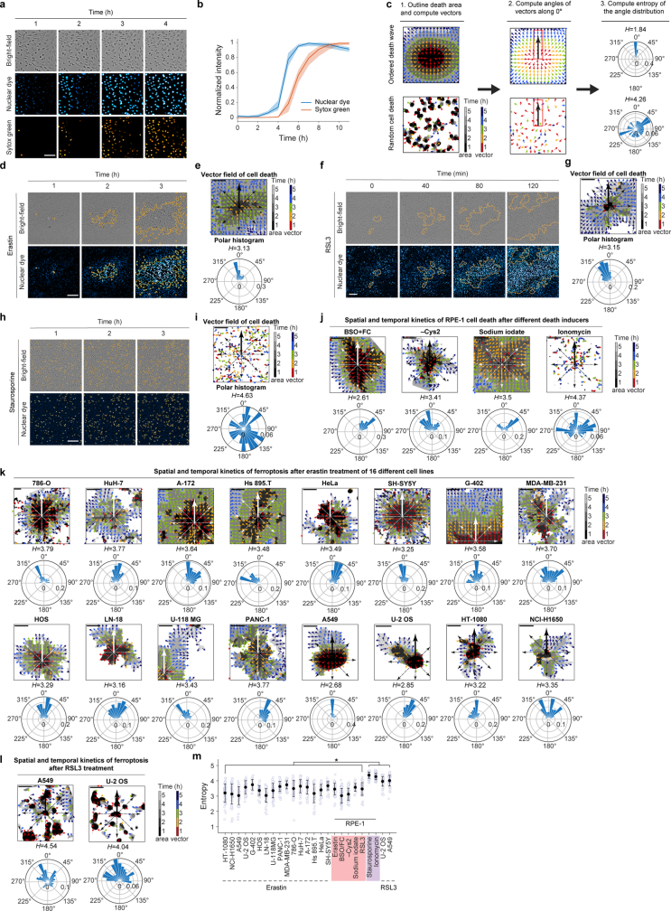 Extended Data Fig. 1