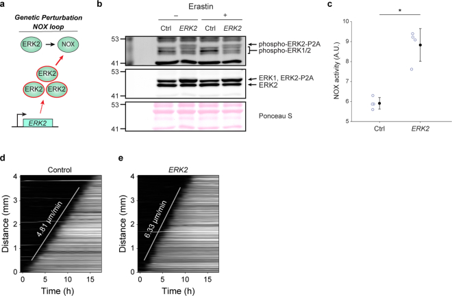 Extended Data Fig. 8