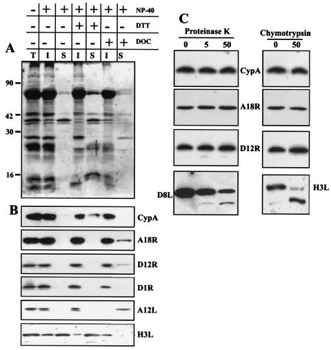 FIG. 10.