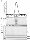 FIG. 9.