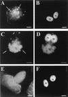 FIG. 5.