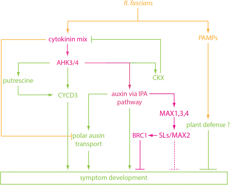 Fig. 6.