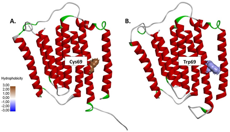 Figure 5.