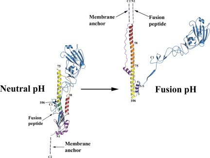 Fig. 1.