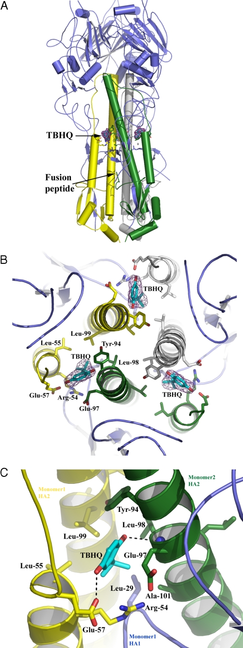 Fig. 3.