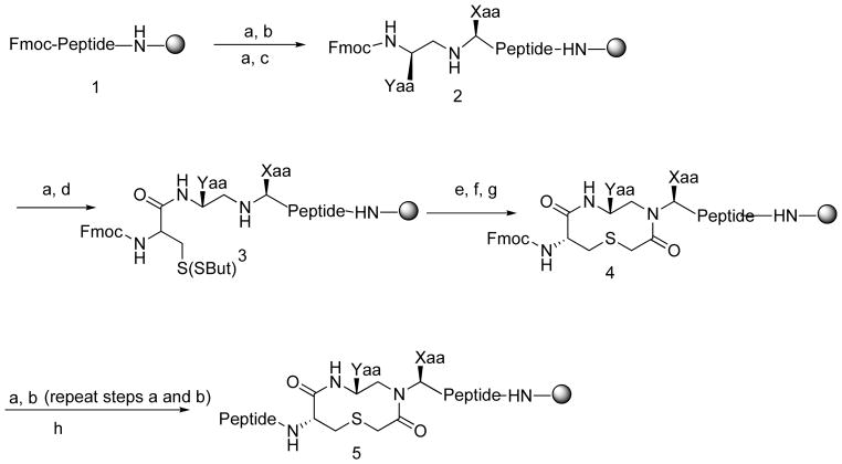 Scheme 1