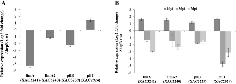 Fig. 6