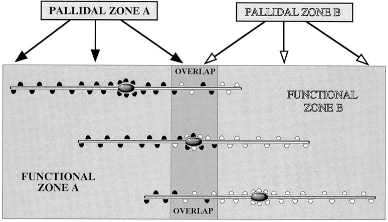 Fig. 10.