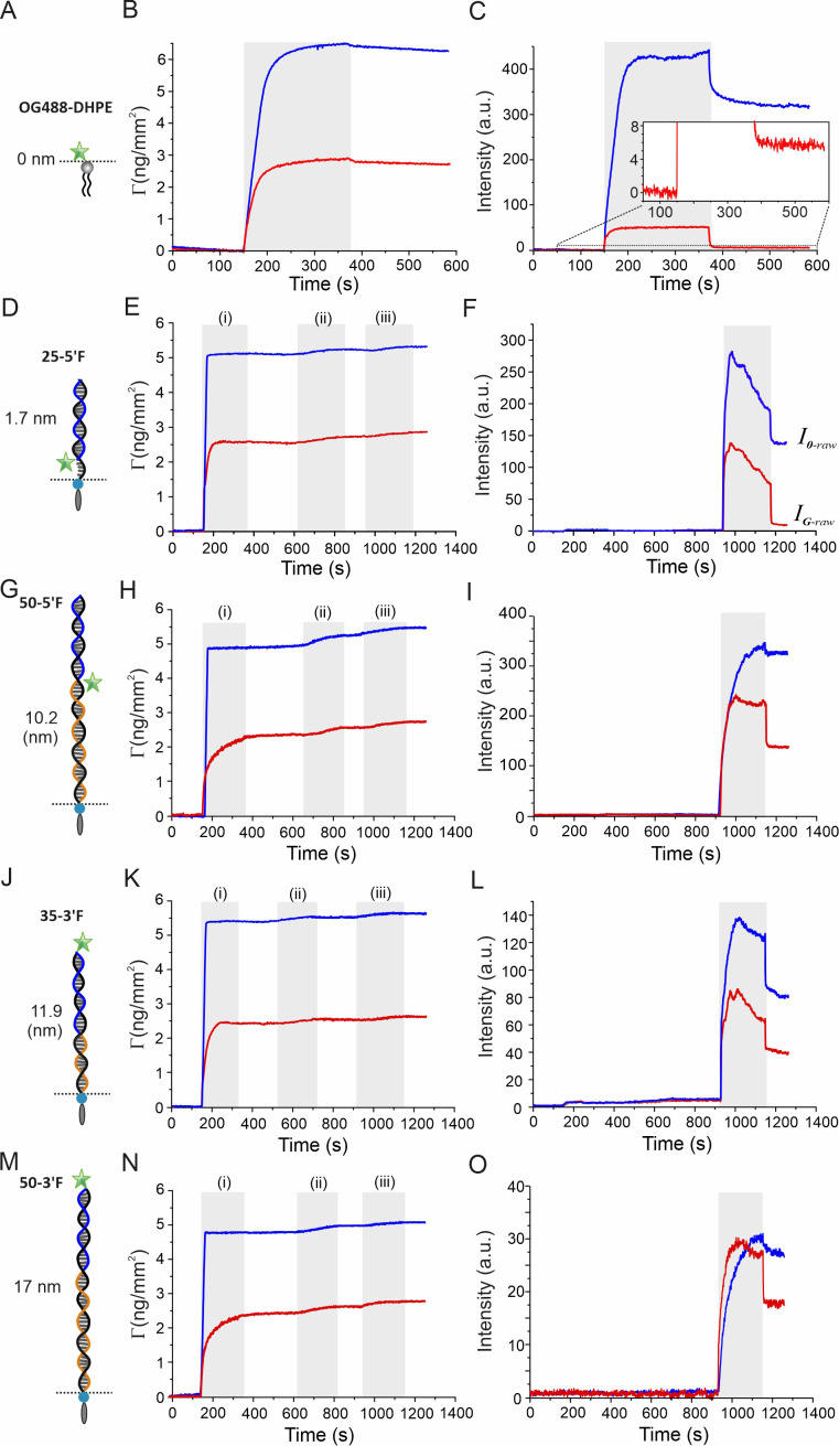 Figure 2—figure supplement 1.