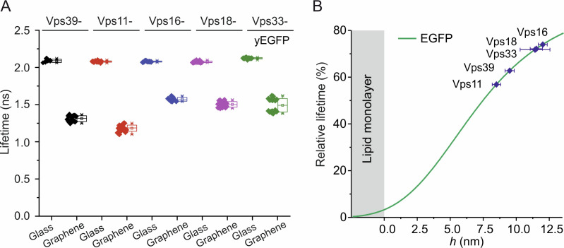 Figure 4—figure supplement 2.