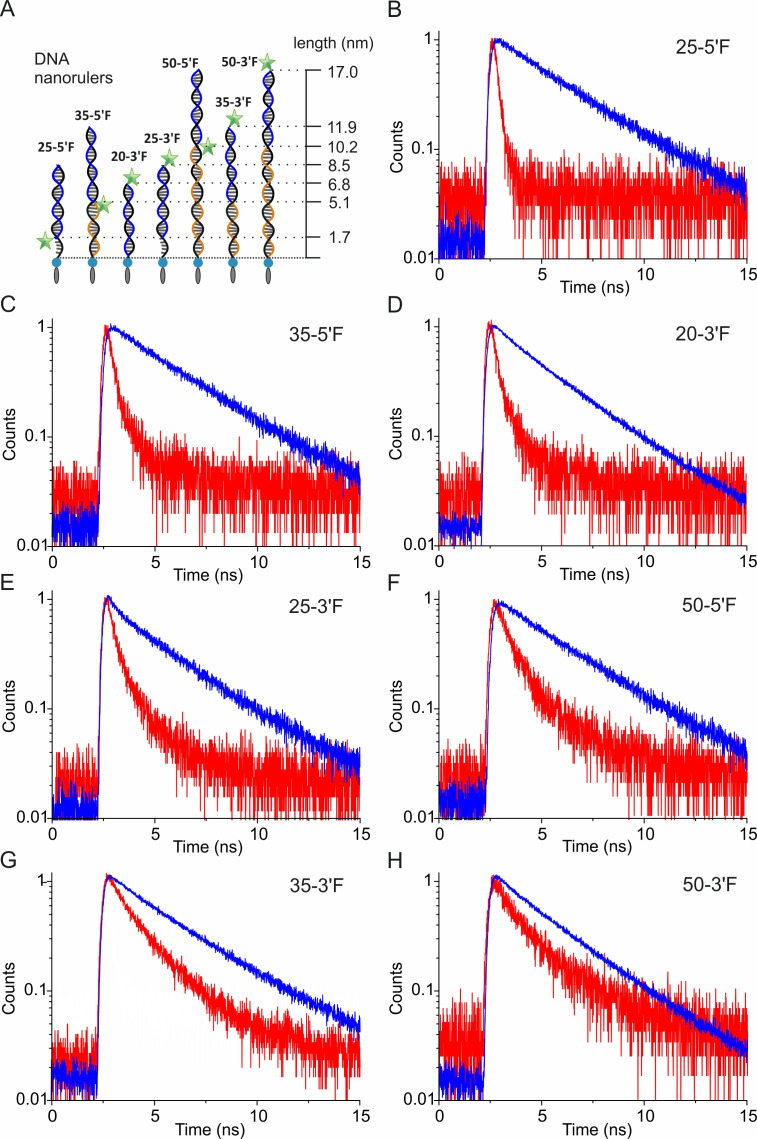 Figure 2—figure supplement 3.