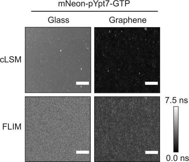 Figure 3—figure supplement 3.