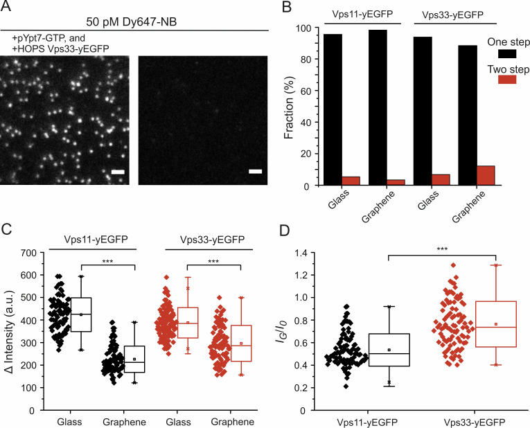 Figure 5—figure supplement 1.