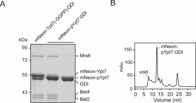 Figure 3—figure supplement 1.