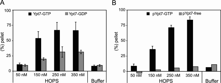 Figure 3—figure supplement 2.