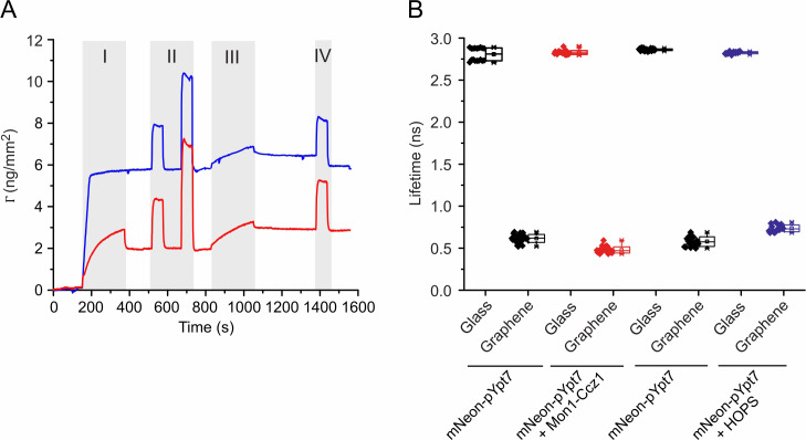 Figure 3—figure supplement 4.