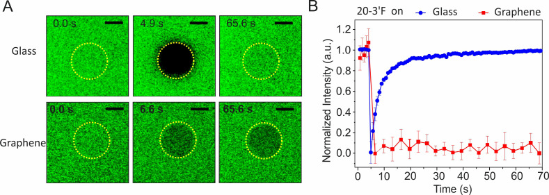 Figure 2—figure supplement 5.