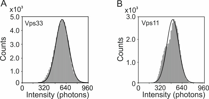 Figure 5—figure supplement 2.