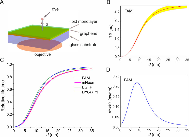 Figure 2—figure supplement 2.