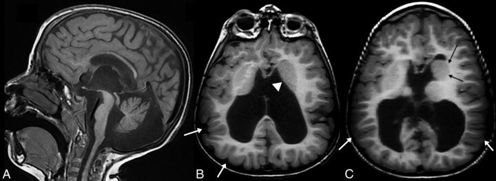 Fig 1.