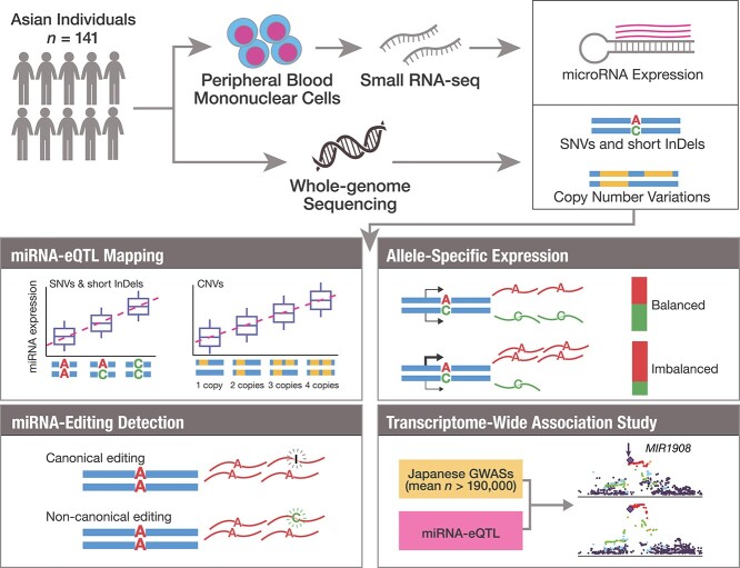 Graphical Abstract