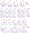 Figure 2. More male CD8+ T cells are functionally exhausted and skewed toward a progenitor exhausted T-cell phenotype. Tumor-infiltrating T cells were analyzed on day 15 after implantation of SB28 tumor cells. A, Frequency of T-cell subsets in CD45hi immune cells. Data are combined from two independent experiments. n = 11–12 for the SB28-injected group and n = 4 for the sham-injected group. B, Inhibitory receptor expression in CD8+ and CD4+Foxp3− effector T cells (Teff). Data are combined from two independent experiments. n = 10–12 for the SB28-injected group and n = 4 for the sham-injected group. C, Intracellular cytokine expression in CD8+ and CD4+Foxp3− effector T cells was measured after ex vivo stimulation. Data are combined from two independent experiments. n = 7–10 for the SB28-injected group and n = 3 for the sham-injected group. D, Exhausted T-cell subsets in CD8+ T cells: TEX (CD8+CD44+PD-1+TCF1−TIM3+), PEX (CD8+CD44+PD-1+TCF1+TIM3−), and EFF (CD8+CD44+TCF1−TIM3−). Data are combined from two independent experiments. n = 9–10 for the SB28-injected group and n = 4 for the sham-injected group. E, TOX expression in each CD8+ T-cell subset. gMFI, geometric mean fluorescence intensity. Intracellular expression of granzyme B (F) and IFNγ+TNF+ (G) in each CD8+ T-cell subset after ex vivo stimulation. Data are combined from two independent experiments. n = 5–7 for SB28-injected group. Two-way ANOVA with the Tukey multiple comparisons test (A–C and E–G) or unpaired Student t test (D) was performed (*, P < 0.05; **, P < 0.01; ***, P < 0.001).