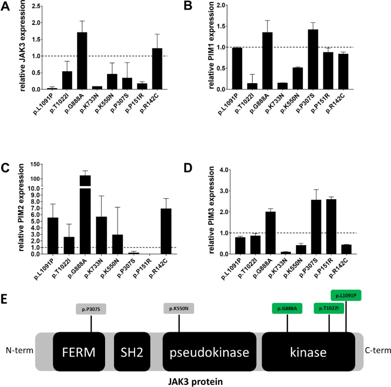 Fig 3