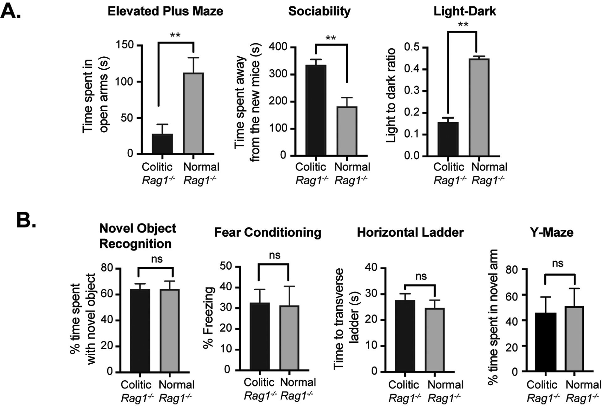 Figure 2: