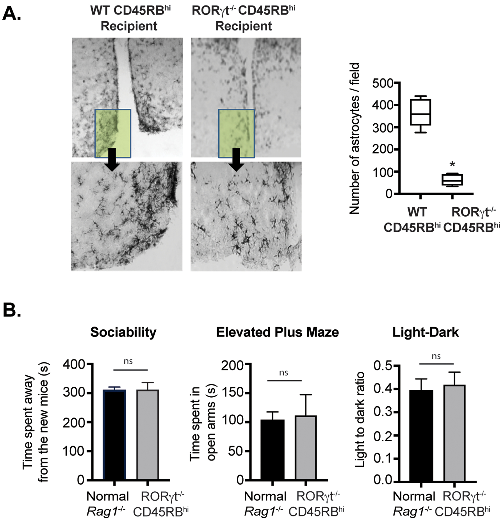 Figure 6: