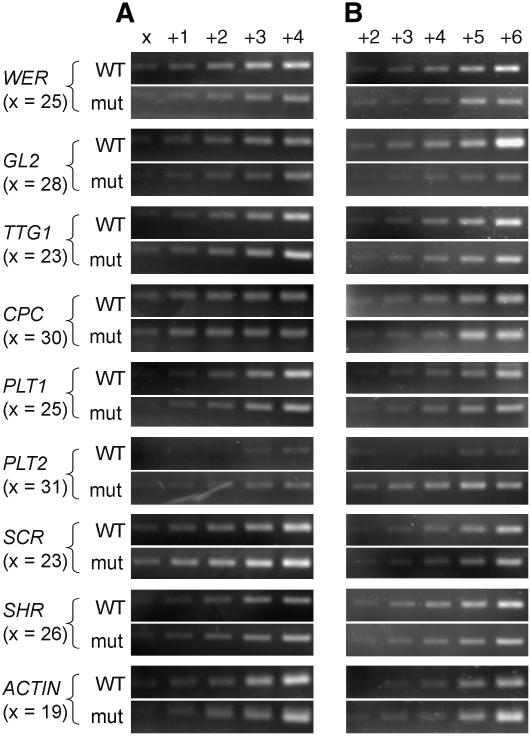 Figure 6.