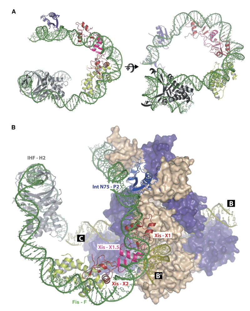 Figure 6