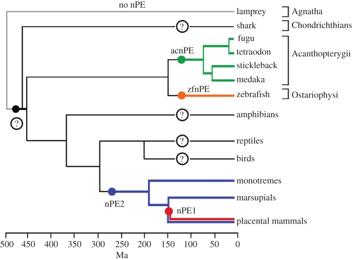 Figure 6.