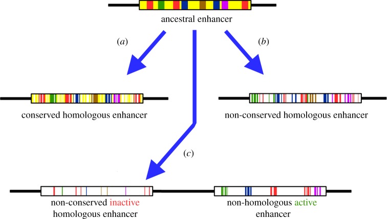 Figure 1.