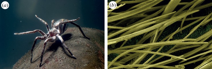 Figure 20.