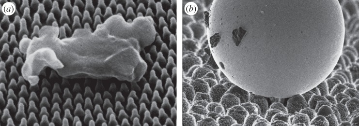 Figure 26.