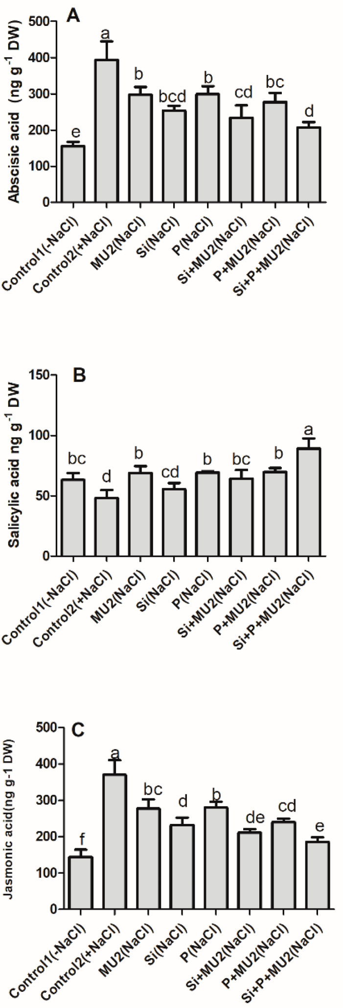 Figure 5