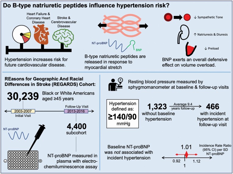 Graphical Abstract