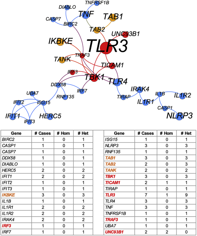 Figure 3