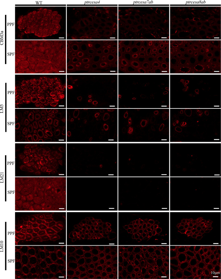 Fig. 9