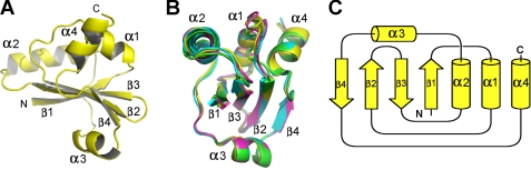 FIGURE 1.