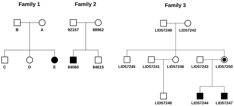 Figure 2