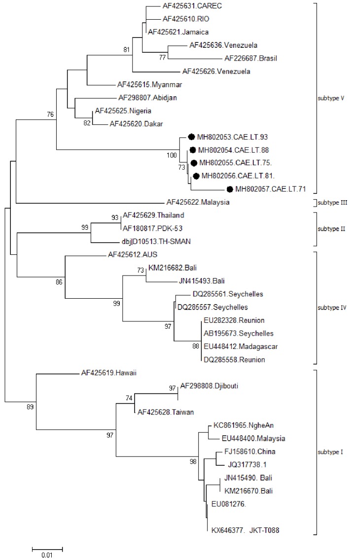 Fig 3