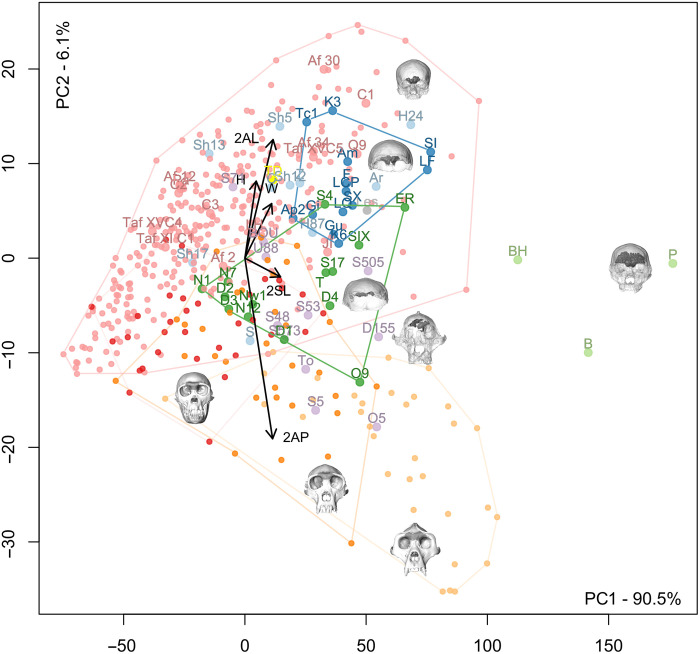 Fig. 4.