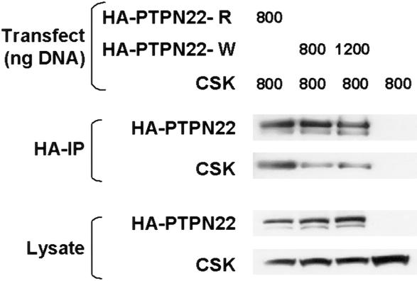 Figure  2