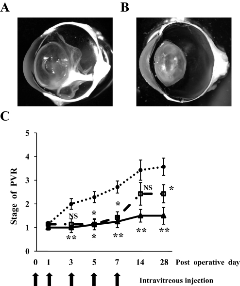 FIG. 7.