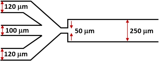 Fig. S2.